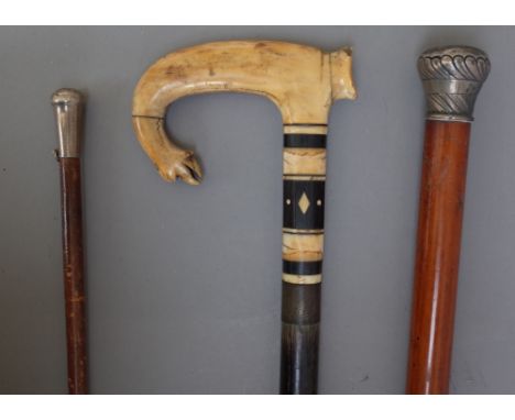 An ivory and ebony mounted ebonised walking stick, the handle carved with a bird's head (90cm), a malacca walking cane, with 