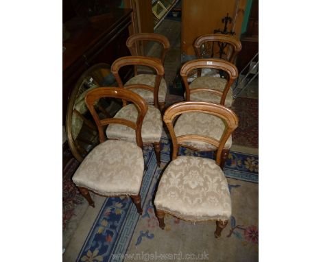 A set of six stripped light Oak framed early 20th c. Dining Chairs having turned and fluted front legs and cream fabric uphol