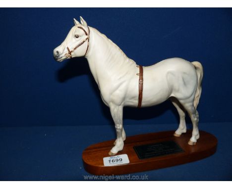 A Royal Doulton "Champion Welsh Pony" Gredington Simwnt 3614 connoisseur model by Beswick on a wooden plinth.