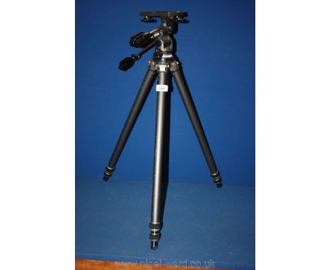 A Gitzo Brevete SG DG French tripod.