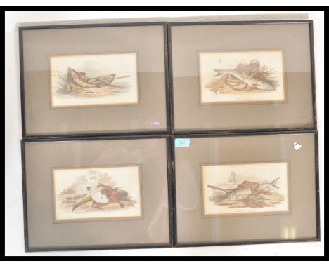 A group of four 19th century Lithograph prints of fish , each depicting multiple species of fish with notation. Features Tunc