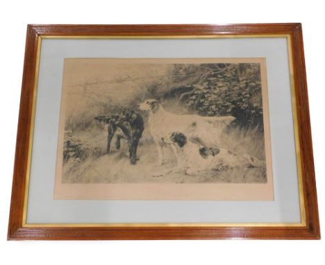 After Thomas Blinks. Setters in woodland, monochrome print, published by Arthur Tooth &amp; Son, Haymarket, London, Jan 10th 
