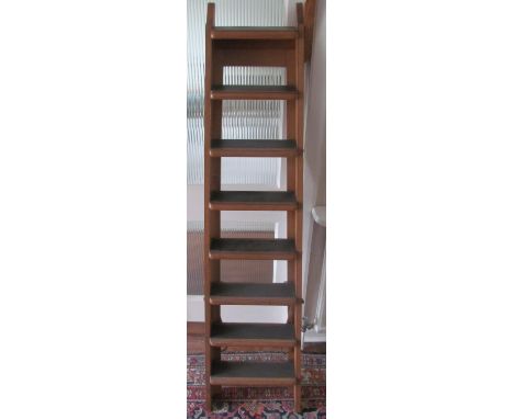 A library ladder