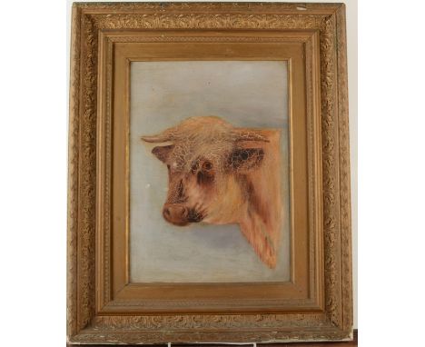 A framed oil on canvas of a cow portrait, 54x45cm.