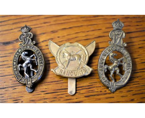 Army Remount Service Boer War Cap Badge (Gilding-metal), slider, first type. K&amp;K: 1045. Scarce-Army Remount Service WWI O