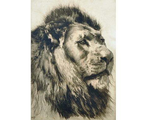 After Herbert Thomas Dicksee (1862-1942) British. Head of a Lion, Engraving, Unframed, 11" x 8", together with another lithog
