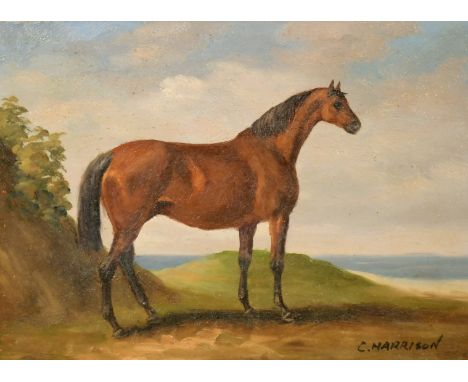 C. Harrison, 20th Century School, a pair of horse portraits, oil on panel, each 5" x 7" (2).