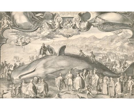 Jan Saenredam, 'The Great Whale Washed up on the Shores of Holland, 1601', an Early 17th Century Old Master engraving, 16" x 