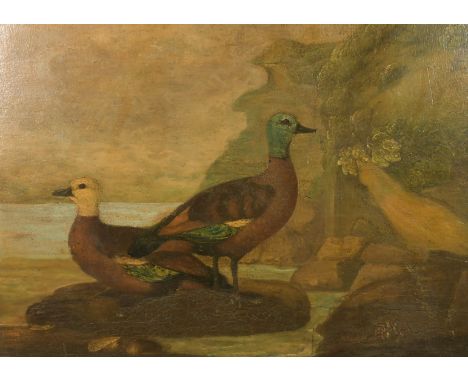 Na ve School, two birds on a rock with a rocky coastline beyond, oil on panel, 23" x 31.5".