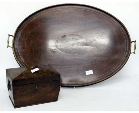 A VICTORIAN WALNUT SARCOPHAGUS STYLE TEA CADDY with inlaid lid and glass bowl with gilt metal handles and a crossbanded galle