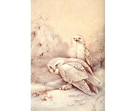 Leighton Maybury (former Royal Worcester artist), Gilt framed Ceramic plaque, signed, ‘Snowy Owl Nyctes Scandiaca’, 30cm x 20