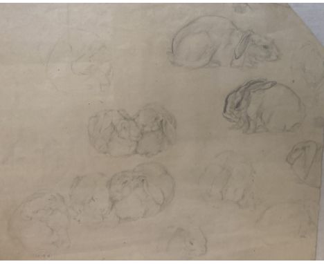 E.S.K, pencil drawing, Student sketch of rabbits, 28 x 32cm