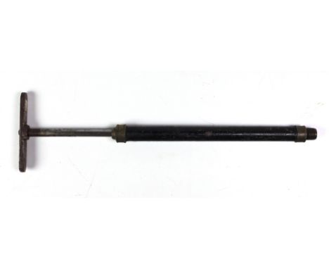 An unusual Walking Stick Air-Gun, with brass mounts, original pump. (1)