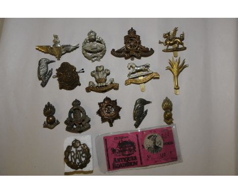 Selection of various assorted military cap badges including Parachute Regiment, Royal Artillery, RAF etc and a military photo
