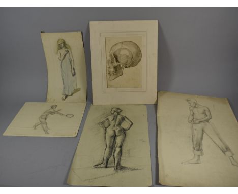 A Collection of Artwork to Include Figural Pencil Sketches, Pen and Ink Study of Skull and Cartoon 