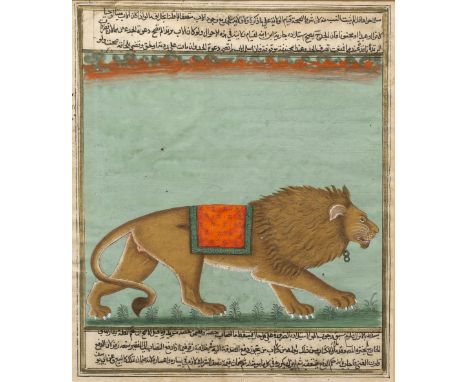19TH CENTURY INDIAN SCHOOL a profile portrait of a lion with a cloth on his back, the picture framed by bands of text above a