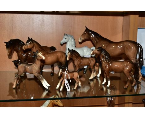 EIGHT BESWICK HORSES AND FOALS, all brown gloss except a Prancing Arab Type in grey gloss, model no 1261, first version, othe