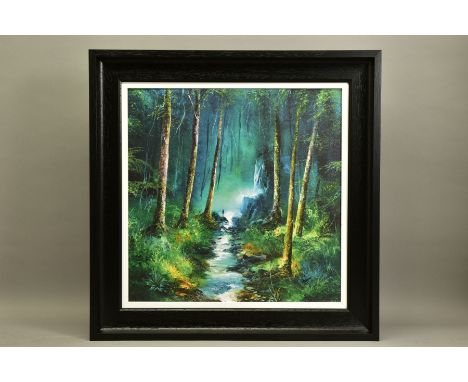 PHILIP GRAY (IRELAND 1959) 'FOREST OF LIGHT', a signed limited edition print of a woodland landscape 80/195, with certificate