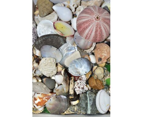 A QUANTITY OF SEA SHELLS, FOSSILS, MOTHER OF PEARL etc, polished stones, glass beads etc