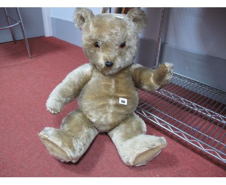 A Gold Plush Teddy Bear, circa mid XX Century with felt hands and feet, glass eyes, moveable joints, approximately 60cm high.
