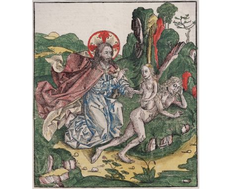 Nuremberg Chronicle - Creation of Eve - Possibly Dürer sketch -1493  /  Description:  Old coloured woodcut from the first edi