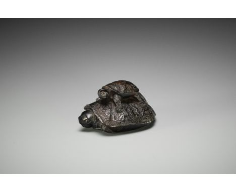 A KUROGAKI WOOD NETSUKE OF TWO TURTLESJapan, 19th centuryOf compact form and finely carved as a mother turtle, almost complet
