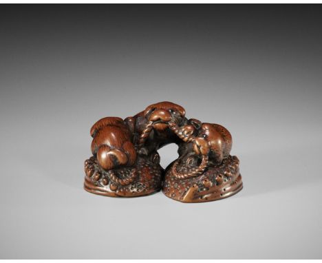 A FINE TANBA SCHOOL WOOD NETSUKE OF THREE PUPPIES AND AWABI SHELLSUnsignedJapan, Tanba province, 19th century, Edo period (16