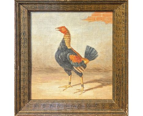 Portrait of a fighting cock, oil on canvas laid on board, pencil (possible) signature to verso, 25cm x 20cm
