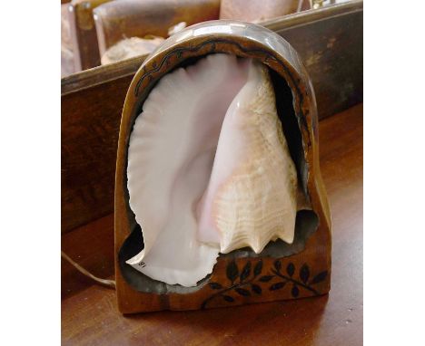 A Conch Shell Table Lamp, in carved hardwood arbour, 34cm high