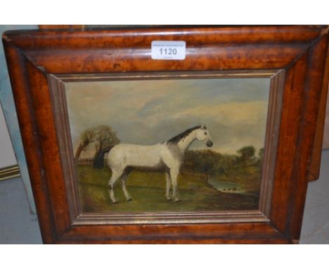 19th Century oil on millboard, portrait fo a white horse in a landscape, maplewood framed , 8ins x 10ins 
