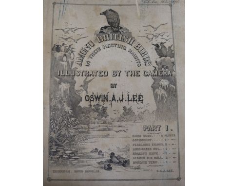 Lee, Oswin A.J. - Among British Birds in their Nesting Haunts, illustrated by the camera, parts 1-8, 10, 12, 13, 15, 16 (13)