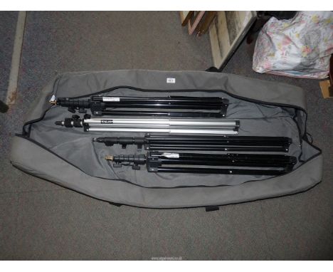 A quantity of photography studio lighting stands, in carrying bag.
