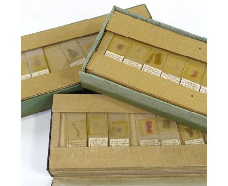 3 cases of human tissue microscope slides from St Mary's Hospital Inoculation Department 