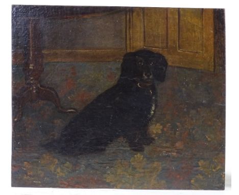 Oil on wood panel, portrait of a black Spaniel, unsigned, 13" x 15", unframed 