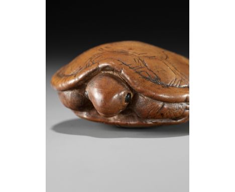 AN OLD WOOD NETSUKE OF A TORTOISEUnsignedJapan, 18th century, Edo period (1615-1868)A boldly carved netsuke of considerable h