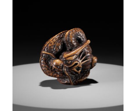 A WOOD NETSUKE OF A COILED DRAGON WITH TAMAUnsigned Japan, 18th century, Edo period (1615-1868)Boldly and powerfully carved a