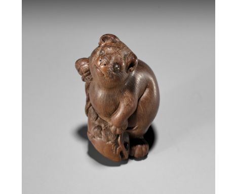 IKUMI: A FINE CONTEMPORARY WOOD NETSUKE OF A TANUKI WITH NAMAZUBy Ikumi, signed Ikumi 郁美with kakihanJapan, 20th centuryFinely