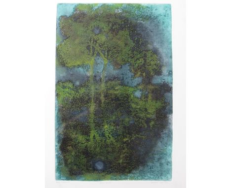 CAROLINE COODE (XX) A framed and glazed print 'Storm River' print 8/series 50.  Pencil signed and dated 1987. 58cm x 41cm