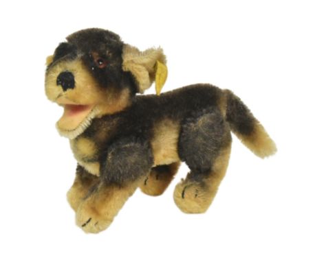 Teddy Bears - an original vintage German Steiff made soft toy teddy bear in the form of a dog. Two tone brown mohair with pos