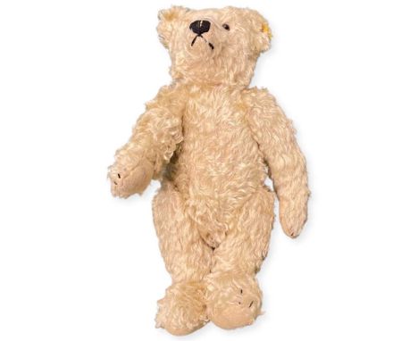 Small Golden Steiff Bear, 35 cms. Button present, tag wornHeight 35 cmsSome wear but clean