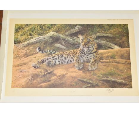 ANTHONY GIBBS (BRITISH 1951), 'Dawns First Scent', a limited edition print of Leopard, 376/111, signed to lower margin, unmou