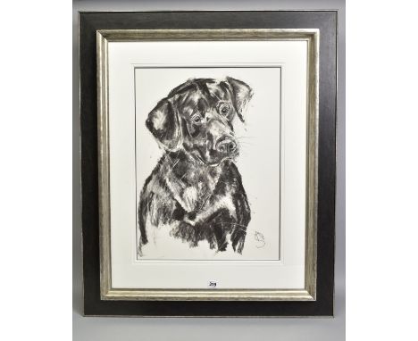 APRIL SHEPHERD (BRITISH CONTEMPORARY) 'BLACK LABRADOR', a portrait study of a dog, initialled bottom right, charcoal on paper