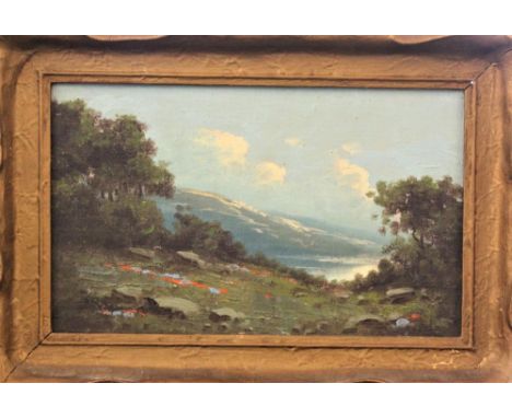 Landscape vista with lake and mountain in background, provenance on reverse, oil on board. Richard DeTreville (1864 - 1929) w