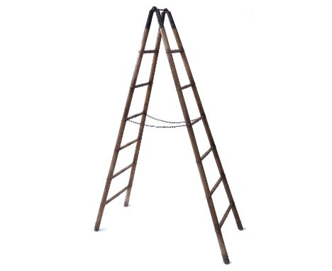 A 19th century carved elm folding library step ladder, the uprights carved as bamboo, united by cast iron hinges, 185cm long