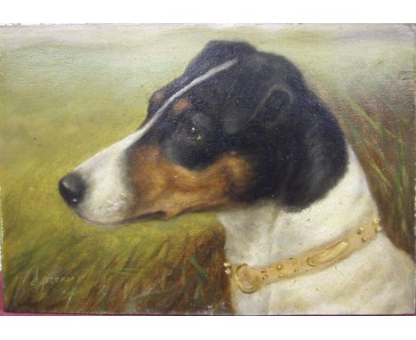Edward Aistrop (fl. 1880-1920) MERSBROOK THISTLE, PORTRAIT OF A TERRIER Signed oil on canvas, 13.5 x 20cm, indistinctly-title