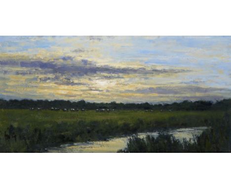 ‡ Colin Willey (b.1972) Evening light on the river Frome Signed with initials Oil on board 40 x 76cm Provenance: The Wykeham 