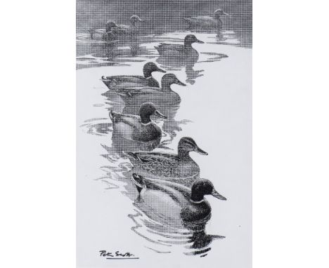 ‡ Peter Markham Scott CBE (1909-1989) Mallard Signed Scraperboard print 22 x 14.25cm Provenance: Nigel Stacy-Marks, Perth ++G