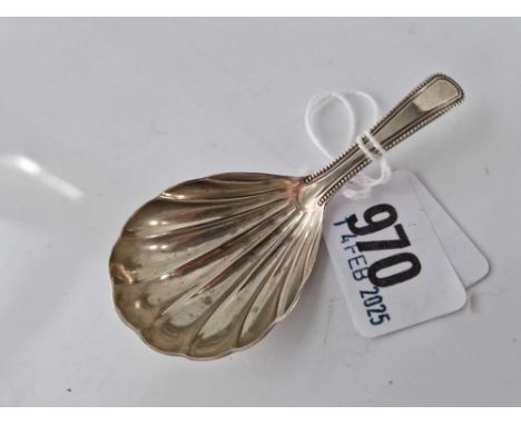 Georgian caddy spoon with beaded edge , shell bowl . London 1795 By Script J W