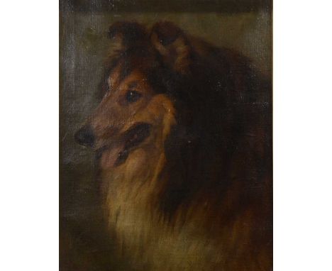 G. Johnson (?), Rough Collie portrait, oil on canvas, signed and dated '98,51x41cm.Condition report:Possible touches of over 