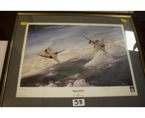 A FRAMED AND GLAZED SIGNED LIMITED EDITION R.A.F. PRINT 'BUZZED' BY G.T.RUSHWORTH 256/950